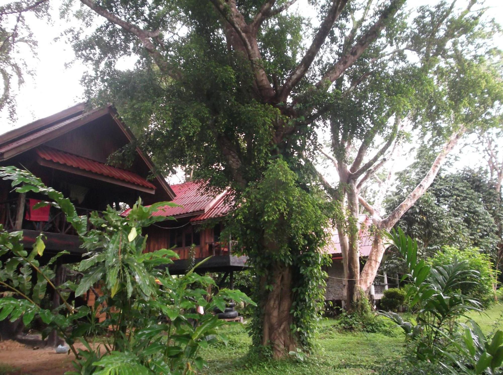 Bamboo House Hotel Khao Sok National Park Exterior photo